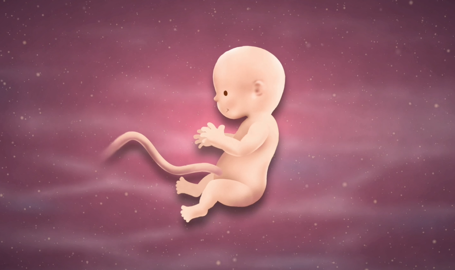 10 Weeks Pregnant