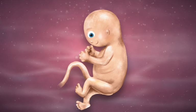 11 Weeks Pregnant