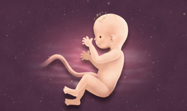26 Weeks Pregnant
