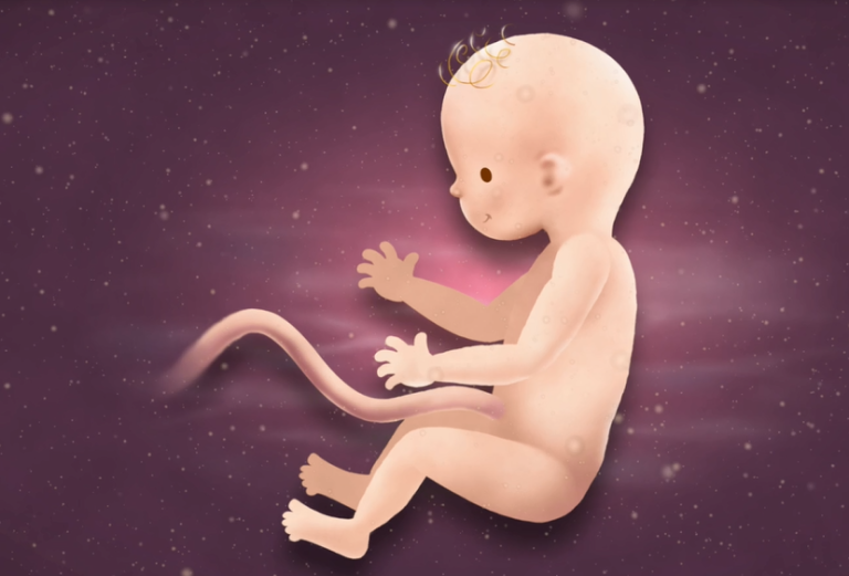 16 Weeks Pregnant