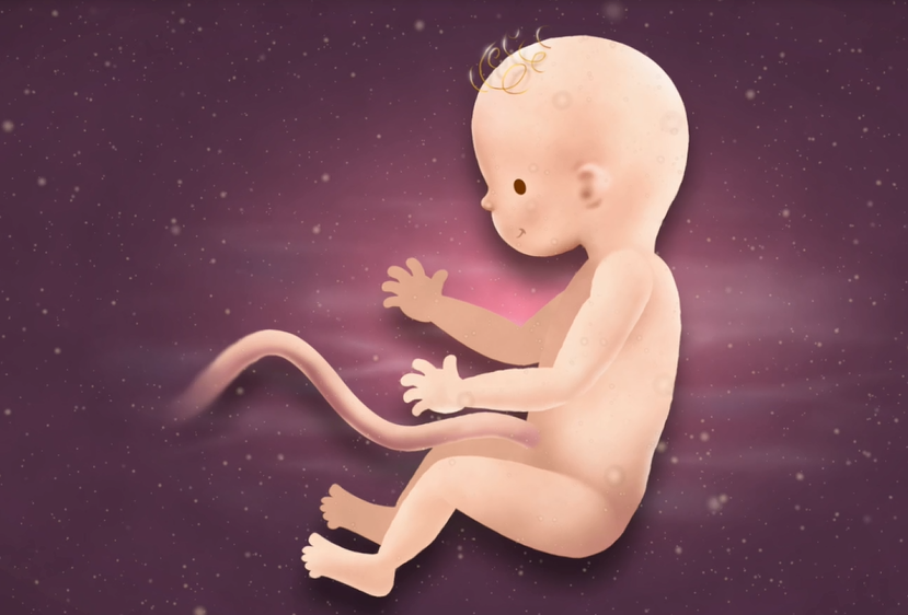 16 Weeks Pregnant