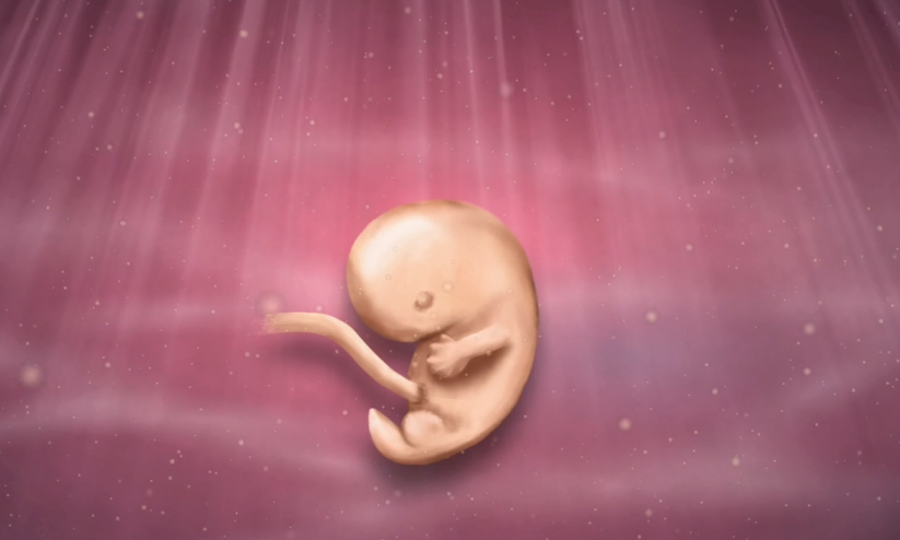 7 Weeks Pregnant