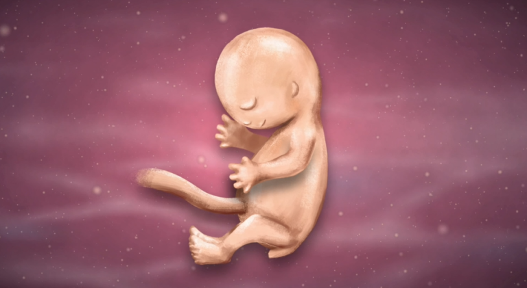 9 Weeks Pregnant
