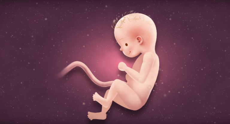 27 Weeks Pregnant