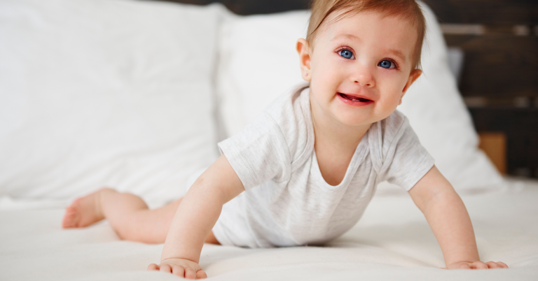 Twelve-Month-Old Baby Development
